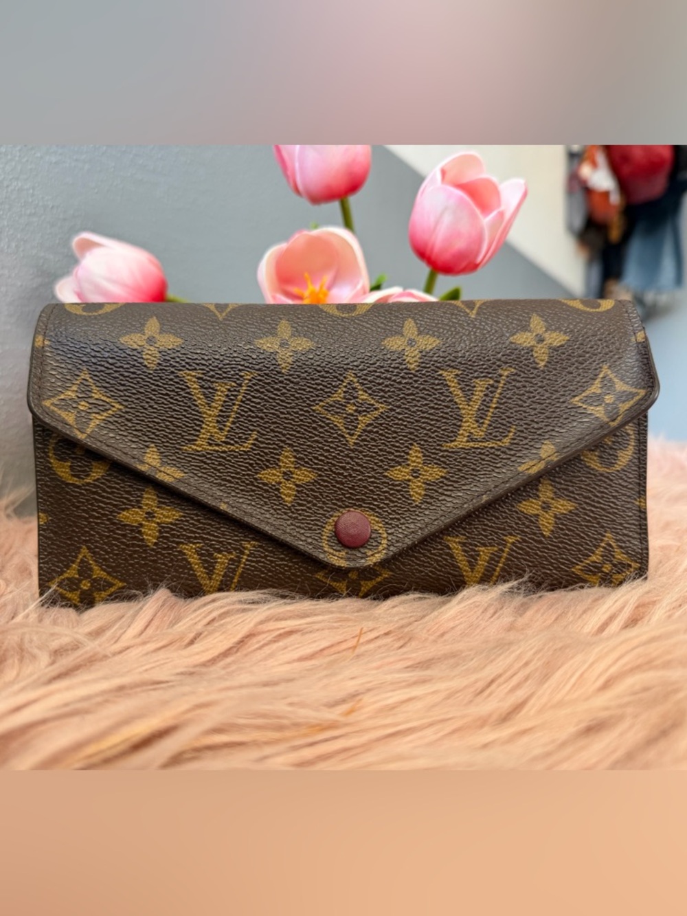 Louis Vuitton Monogram Canvas Envelope Wallet